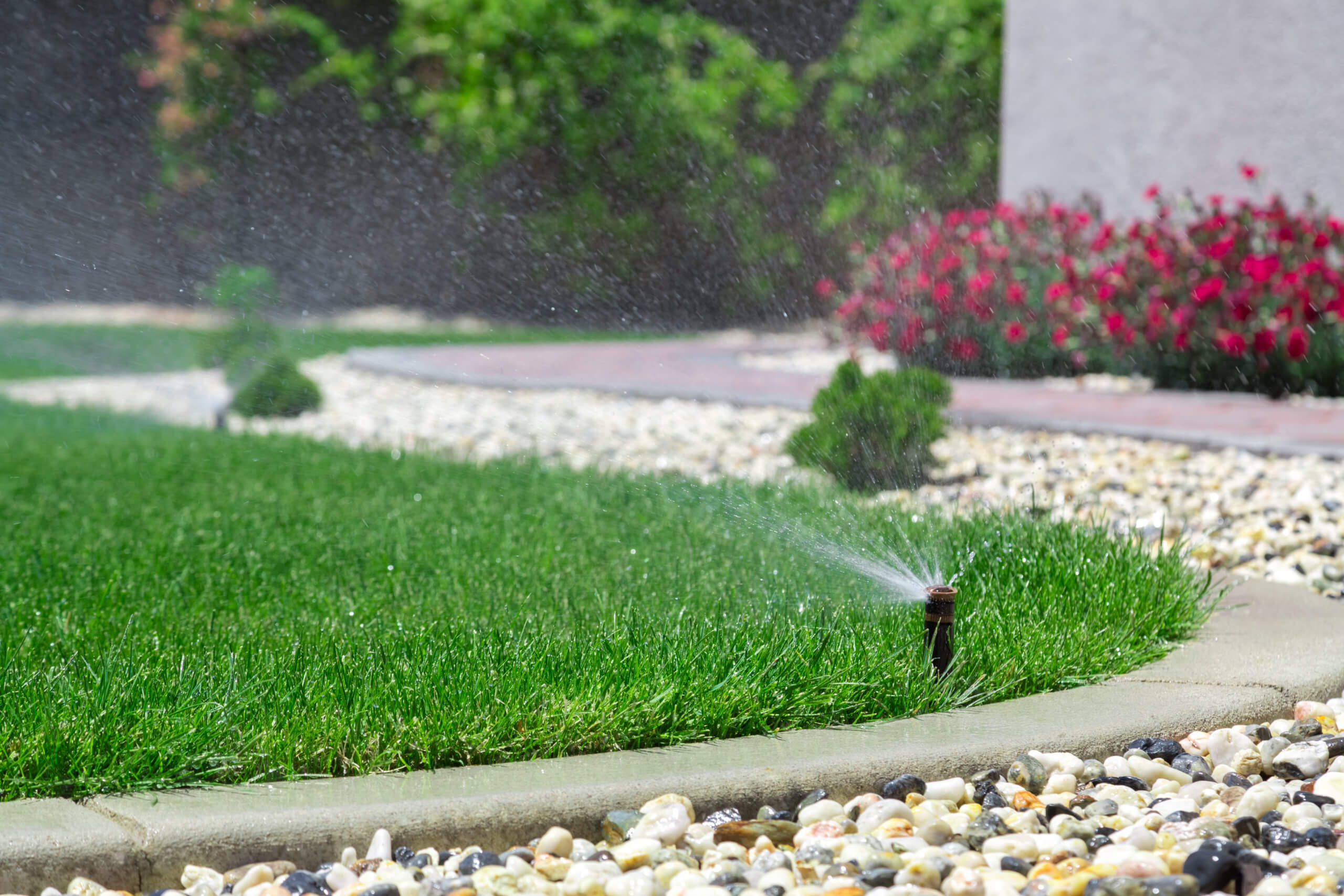A sprinkler system watering a green lawn. 