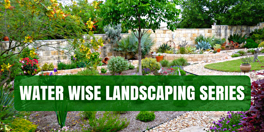 Water Wise Landscaping Series