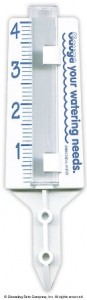 rain gauge resized