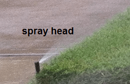 spray head