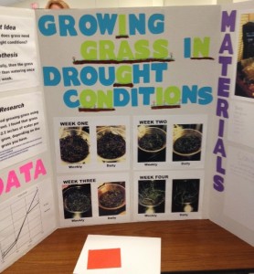 science fair for blog