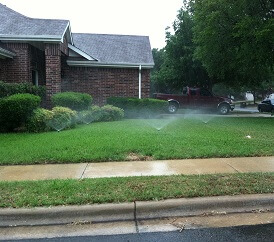watering in rain resized