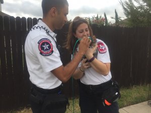 paramedics assist family pet