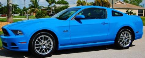 mustang