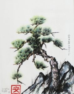 Sung-Cha-Brooks