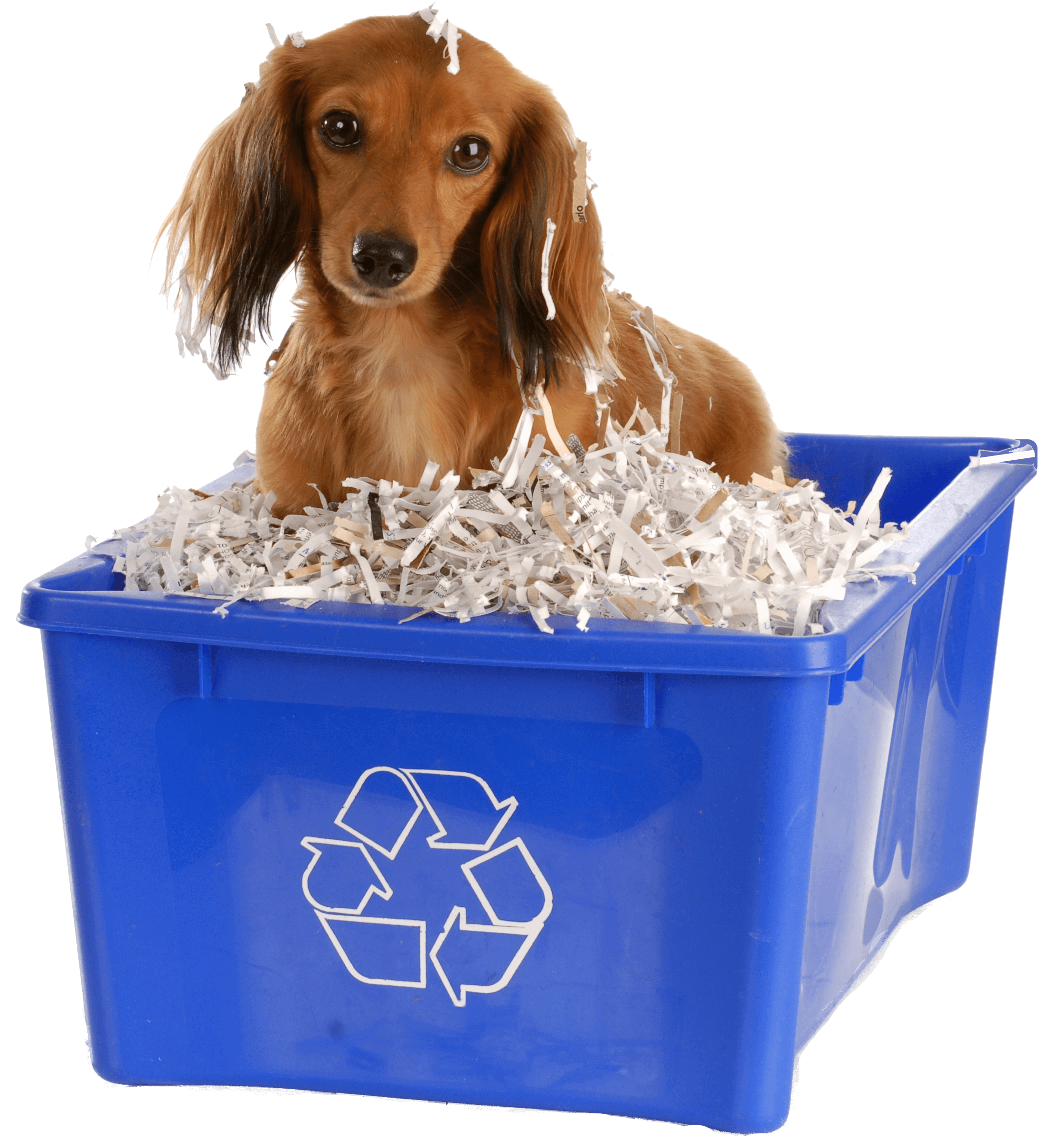 Document and hard drive shred event