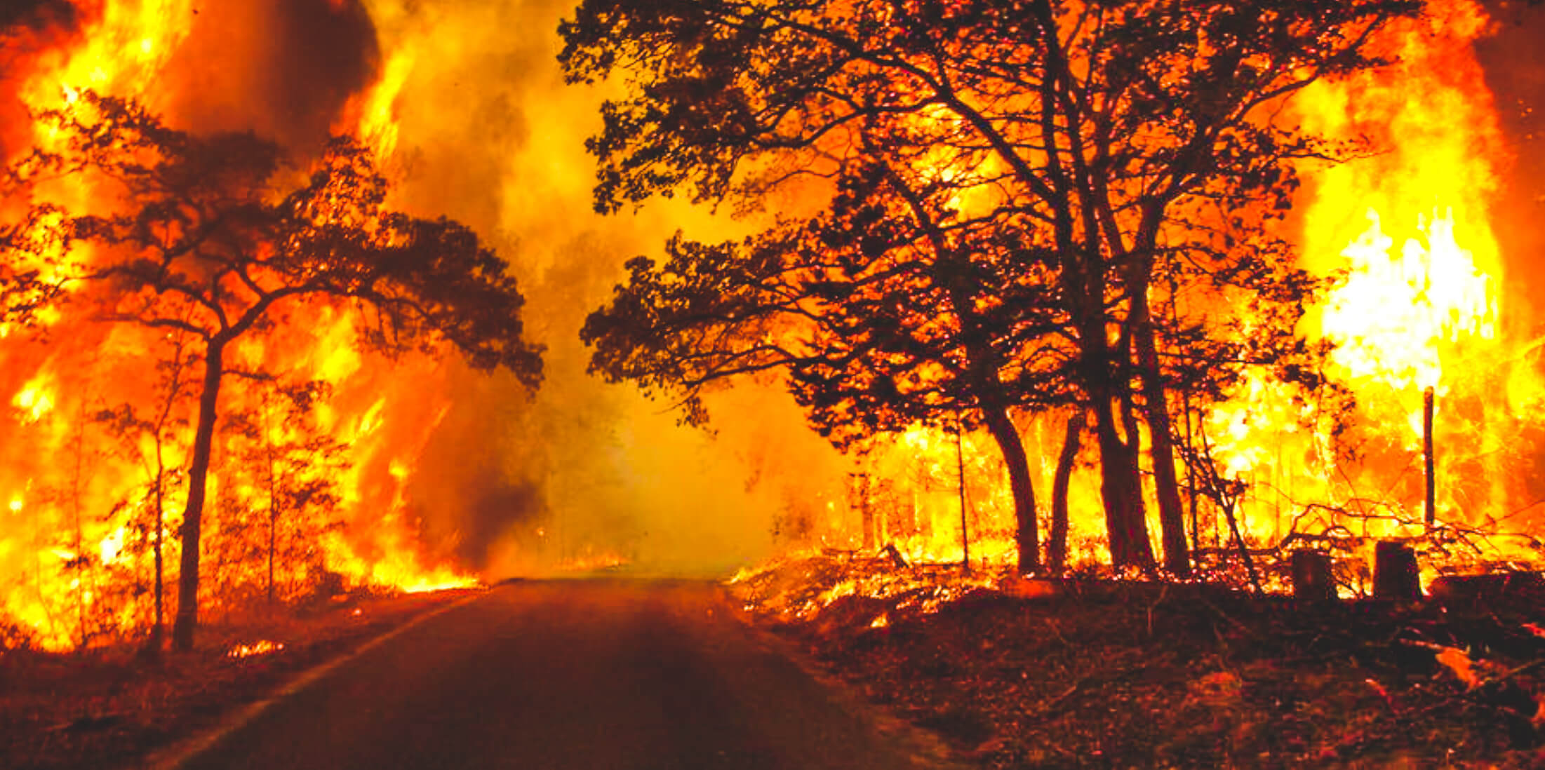 Prepare for wildfire season by being Firewise, registering