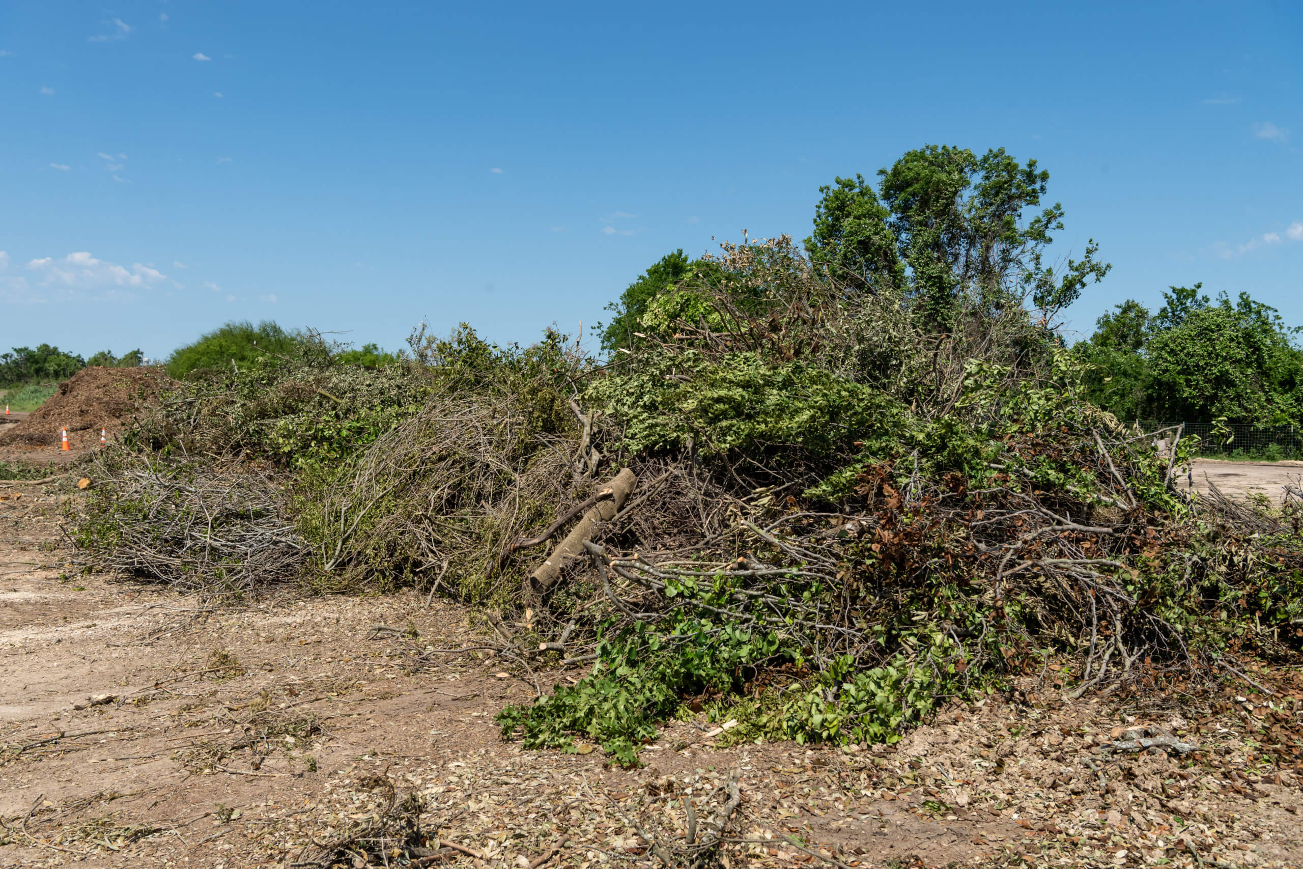 Round Rock residents have three ways to dispose of tree limbs City of
