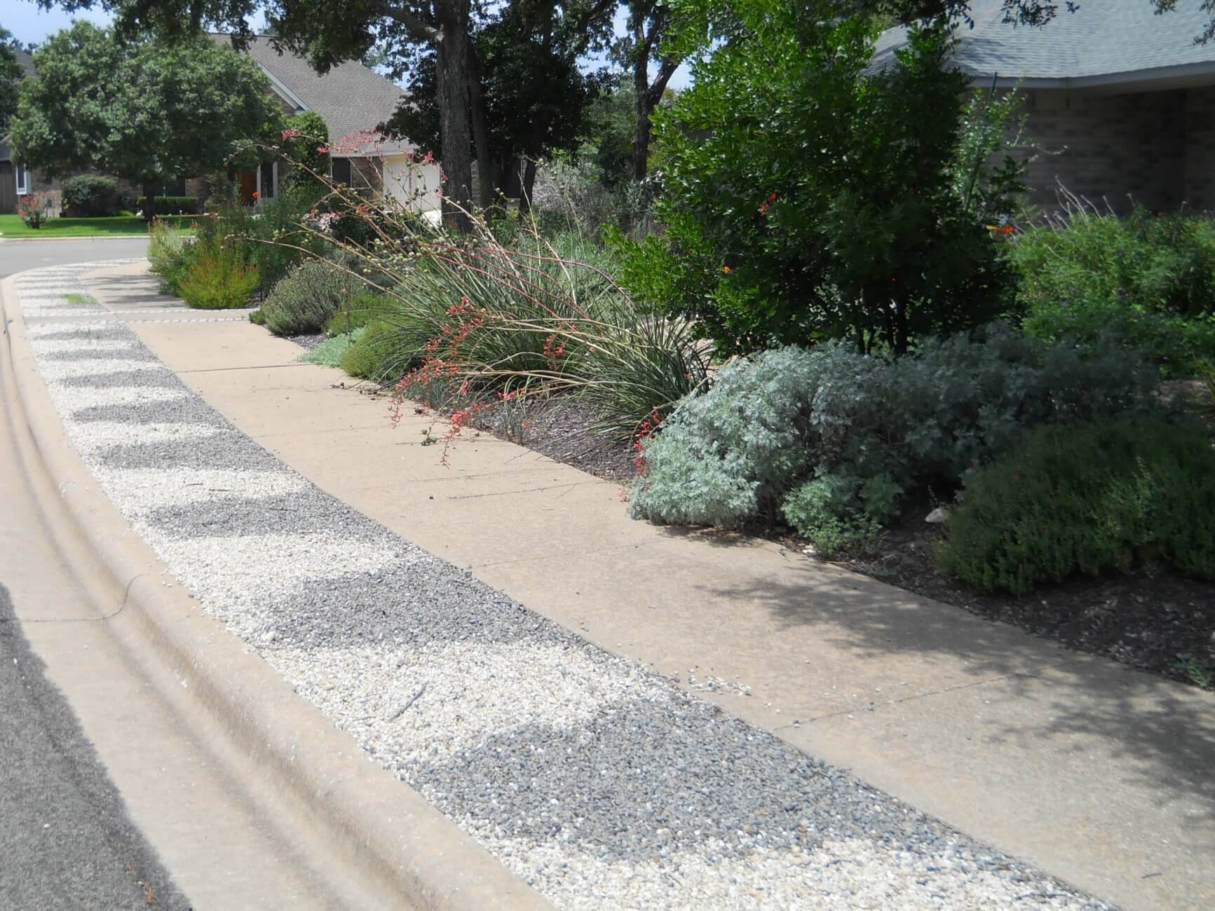 Don't Rock Your Landscape City of Round Rock