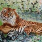 Tiger-by-Sung-Cha-Brooks-300x192