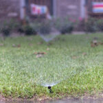 Water sprinklers