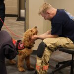 Ivy the Round Rock Fire therapy dog