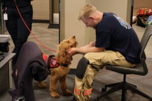 Ivy the Round Rock Fire therapy dog