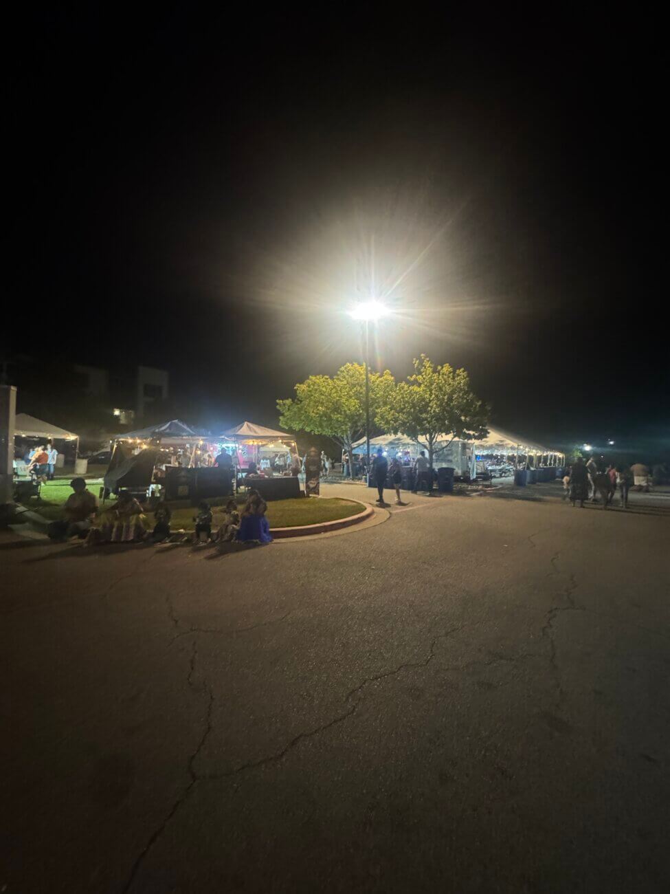 Arts Fest by night