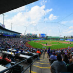 A large crowd fills the stands at a baseball stadium on a sunny day, watching a game in progress on the field. Fans sit in both shaded and open areas, with the diamond and outfield clearly visible.