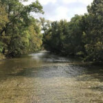 A shallow river flows gently between lush green trees on both sides under a partly cloudy sky. The water appears calm, with sunlight reflecting off its surface.