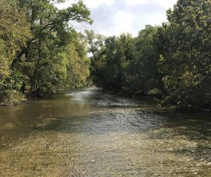 A shallow river flows gently between lush green trees on both sides under a partly cloudy sky. The water appears calm, with sunlight reflecting off its surface.