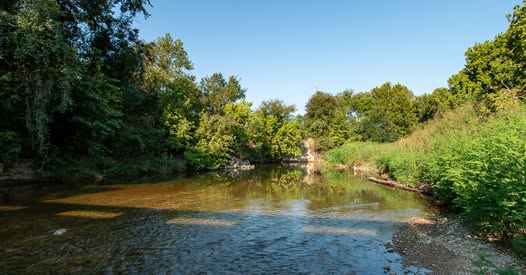 A shallow creek flows gently through a green, tree-lined landscape under a clear blue sky on a sunny day.