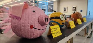 A row of painted pumpkins decorated as characters, including a pink pig wearing a tiara, a yellow minion, and other decorated gourds, displayed on a library shelf with descriptive yellow cards.
