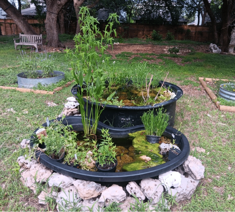 A two-tiered, rock-bordered pond in a backyard containing several aquatic plants in pots.