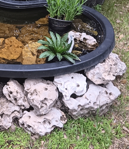 A black plastic tub pond containing potted plants and rocks, surrounded by a base of porous white stones.