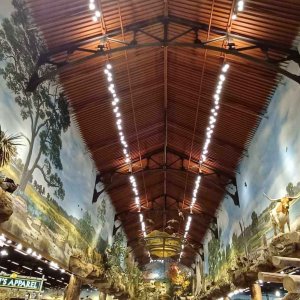 Bass Pro Shops