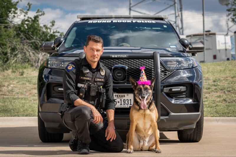 Image for the Tweet beginning: Highly trained.
Highly focused.
Highly… unimpressed with