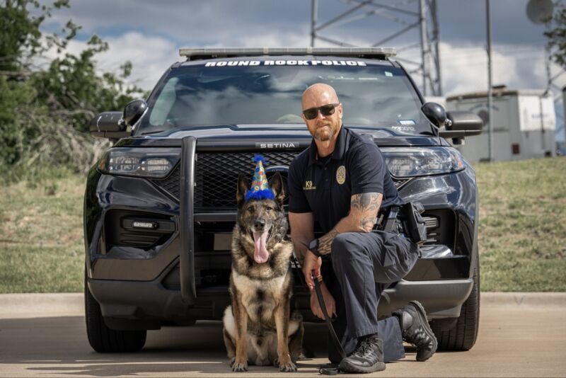 Image for the Tweet beginning: Highly trained.
Highly focused.
Highly… unimpressed with